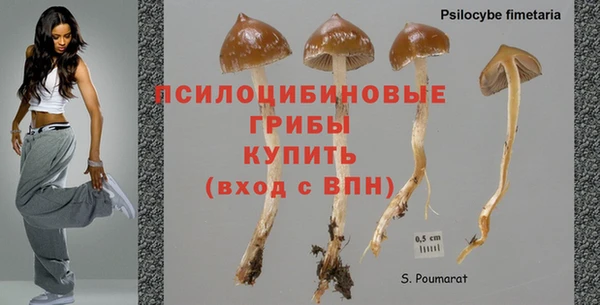 крисы Михайловка