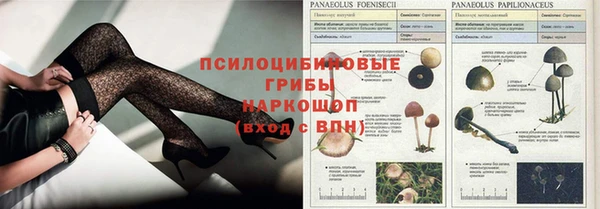 2c-b Михайловск
