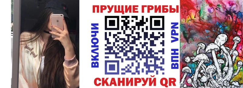 где можно купить наркотик  Артём  Галлюциногенные грибы мухоморы 